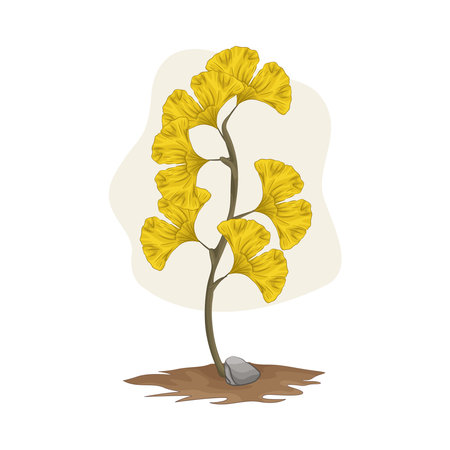 leafのイラスト素材