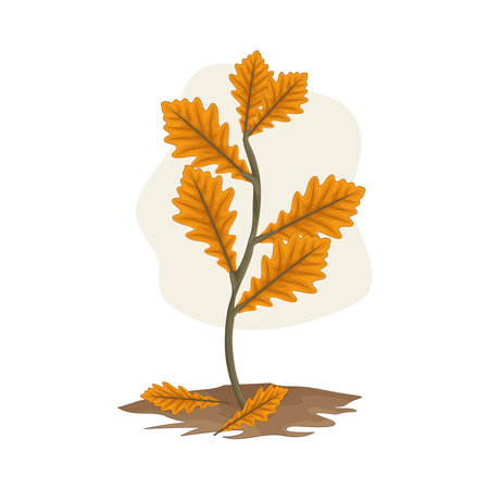 plantのイラスト素材
