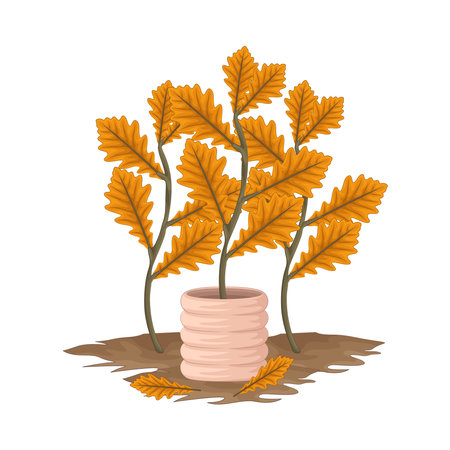 plantのイラスト素材