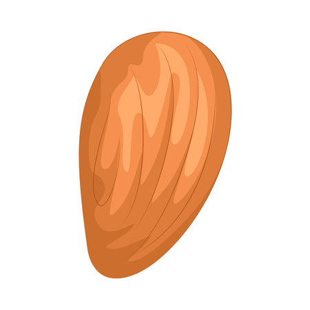 almond nutのイラスト素材