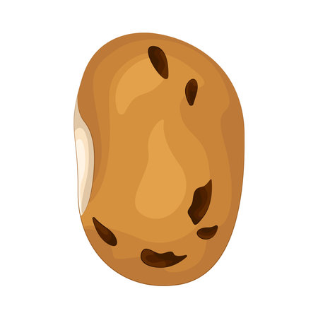 beanのイラスト素材