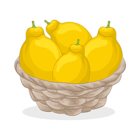 lemonのイラスト素材