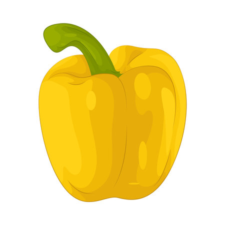 bell pepperのイラスト素材
