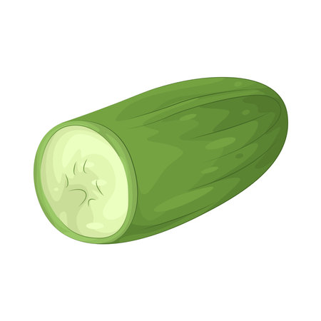 cucumberのイラスト素材