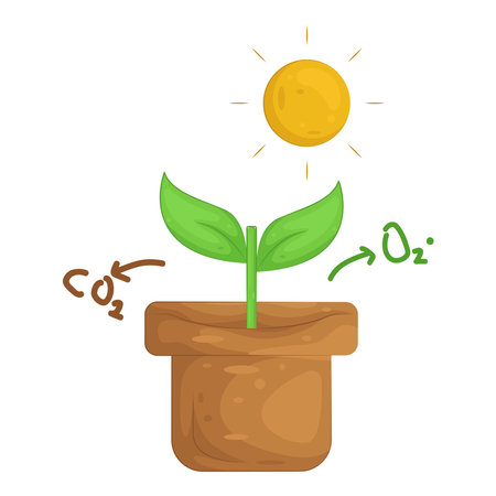 plant potのイラスト素材