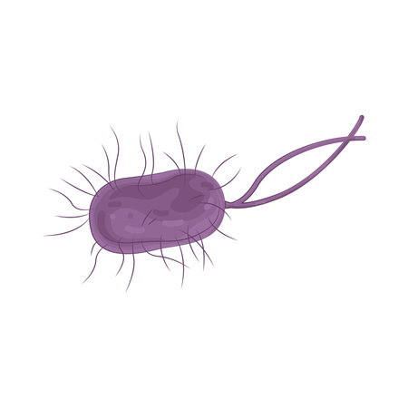 bacteriaのイラスト素材