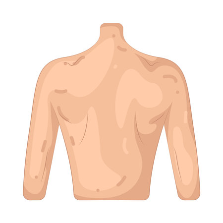 backのイラスト素材