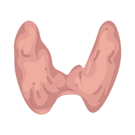 thyroidのイラスト素材