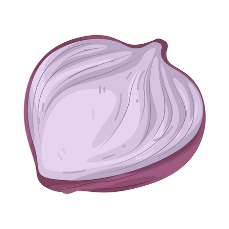 shallotのイラスト素材