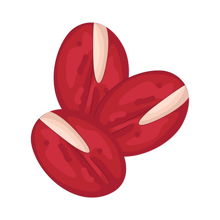 adzuki beansのイラスト素材