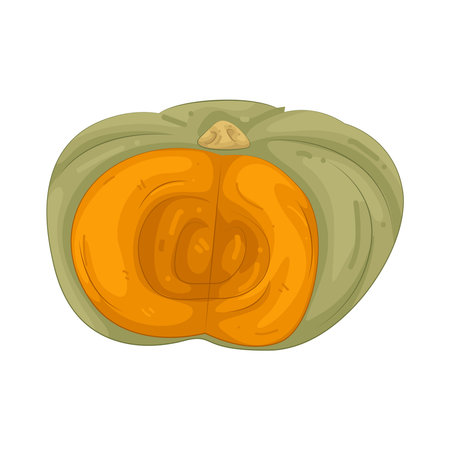 pumpkinのイラスト素材