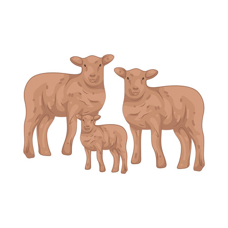 sheepのイラスト素材