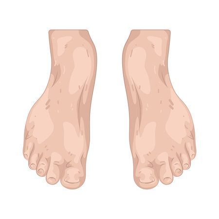 feetのイラスト素材