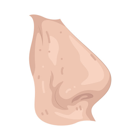 noseのイラスト素材