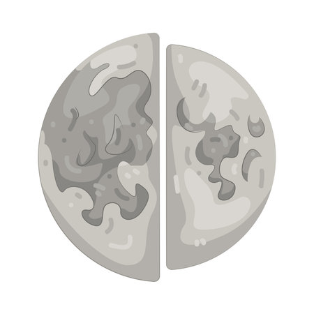 half moonのイラスト素材