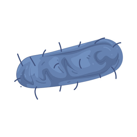 Bacteriaのイラスト素材