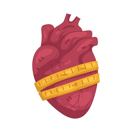 Human Heart with Measuring tapeのイラスト素材