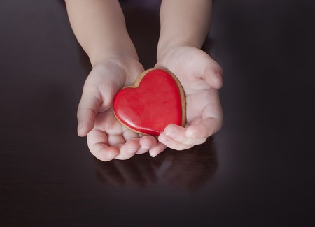 Child's hands holding the heart. The concept of caring, family, protection, love, healthの写真素材