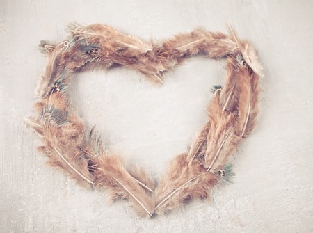 Brown feathers arranged in heart shape on a white background.の写真素材