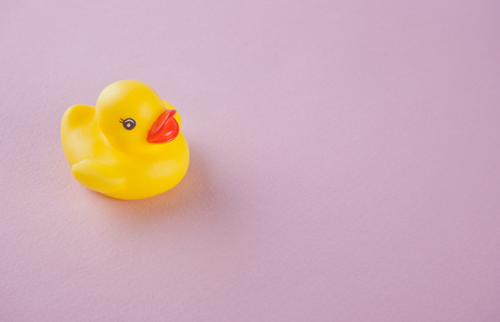 yellow bath rubber duck on pink background. Copy spaceの写真素材