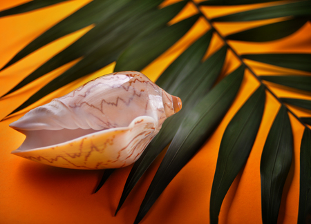 Summer holiday background. Beach accessories: sea shell, tropical palm leaves on orange background. Vacation and travel concept. Top view. Flat lay.の写真素材