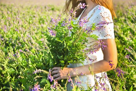 Young woman in white dress on a meadow. She stands with bouquet of wild purple flowers in her hands.の写真素材