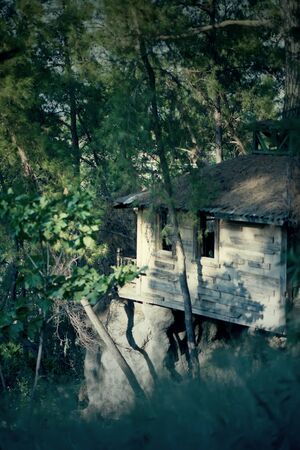 Old and spooky horror haunted houseの写真素材