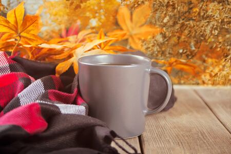 Autumn composition. Cup of coffee, blanket and autumn leavesの写真素材