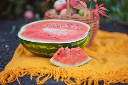 Outdoors autumn picnic. Ripe watermelon on a yellow blanket.の写真素材