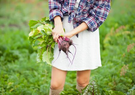 Woman holding a ripe beetroot. Local farming, harvesting conceptの写真素材
