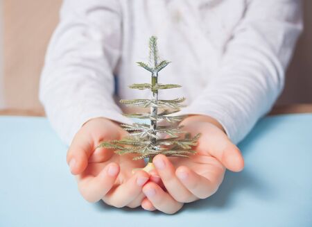 Child little girl holding a small toy Christmas tree in a hands on the blue background.の写真素材