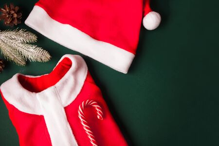 Santa's costume with jacket and hat. Candy cane, pine branch and cone on the green background. Top view. Copy spaceの写真素材