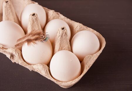 White chicken eggs in egg paper tray with feather on the black background