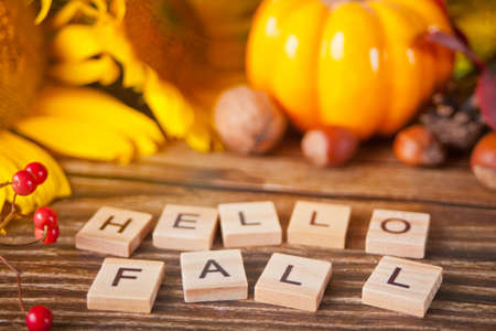 Greeting card with hello fall text. Composition with pumpkin, autumn leaves and berries on the wooden background. Cozy autumn mood conceptの写真素材
