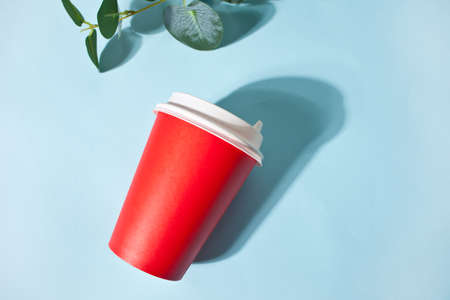 Red take away coffee cup and home plant on blue backgroundの写真素材