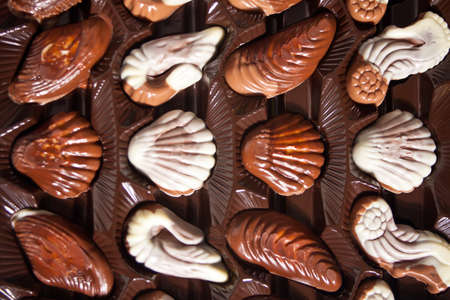 Row of variety chocolate pralines. Top view.の写真素材