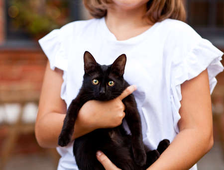 Little girl holding pet friend black catの写真素材