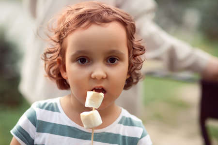 Little curly girl eating roasted marshmalloy outdoor in a camp. Travel, hike, vacation, camping concept.の写真素材