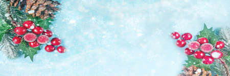Christmas decoration with berries and cones. Top view. Copy space.の写真素材