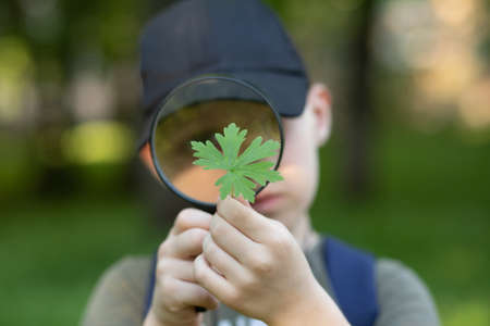 Caucasian Boy kid exploring nature environment with a magnifying glass loupeの写真素材