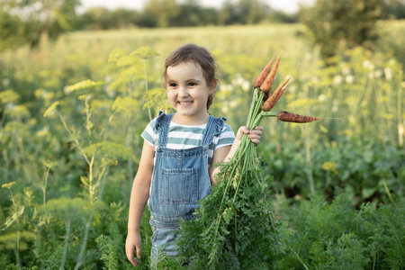 Cute young girl holding a bunch of fresh organic carrots in a garden or farm, harvesting vegetables. Agriculture, local business and healthy food conceptの写真素材