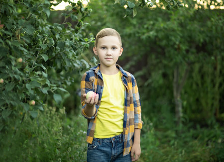 Kid teen boy picking a apple from a tree in a garden