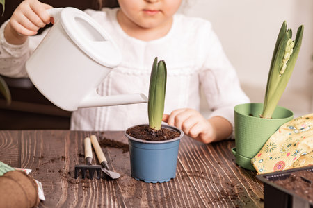 Home gardening. Little kid girl helping to care for home plants, green environment at homeの写真素材
