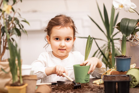 Home gardening. Little kid girl helping to care for home plants, green environment at homeの写真素材