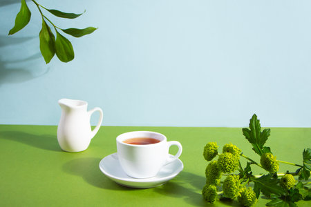 Mockup cup of tea. Green leaf branch plant on the background. Free space for text.の写真素材