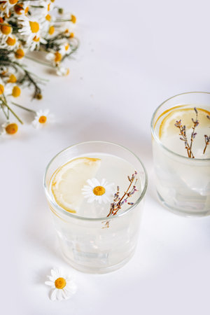Summer chamomile and lemon citrus tea lemonade. Refreshing herbal organic cold drink.の写真素材