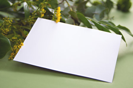 Card mock up on with green plants and flowers. Space for text. Greetings templateの写真素材