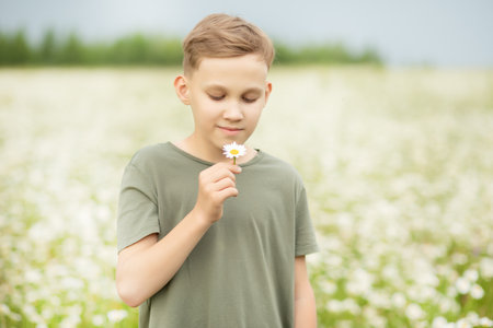 Child kid teen boy at chamomile field picking and smells flowers.の写真素材