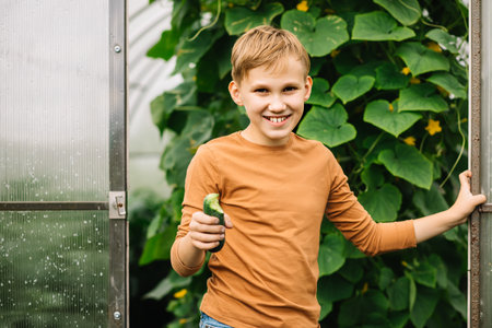 Cute kid teenager boy eating fresh just harvested vegetable cucumber of a countryside farm near by greenhouseの写真素材