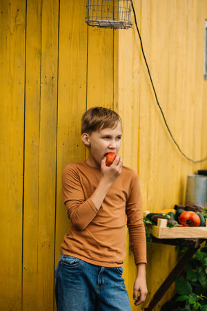 Cute kid teenager boy eating fresh just harvested vegetable of a countryside farm.の写真素材